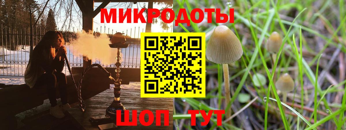 Галлюциногенные грибы ЛСД Заинск